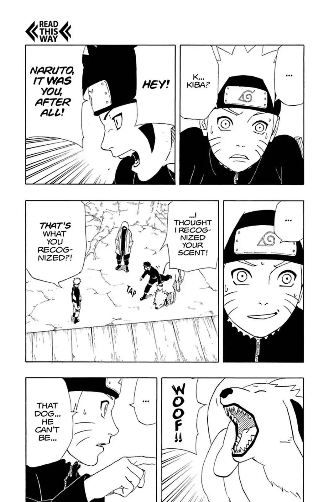 Naruto Chapter 282 page 15 - Chapter 282: Team Kakashi Returns