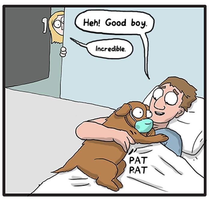 National Dog Day 2016 Chapter 24 page 4 - Chapter 24