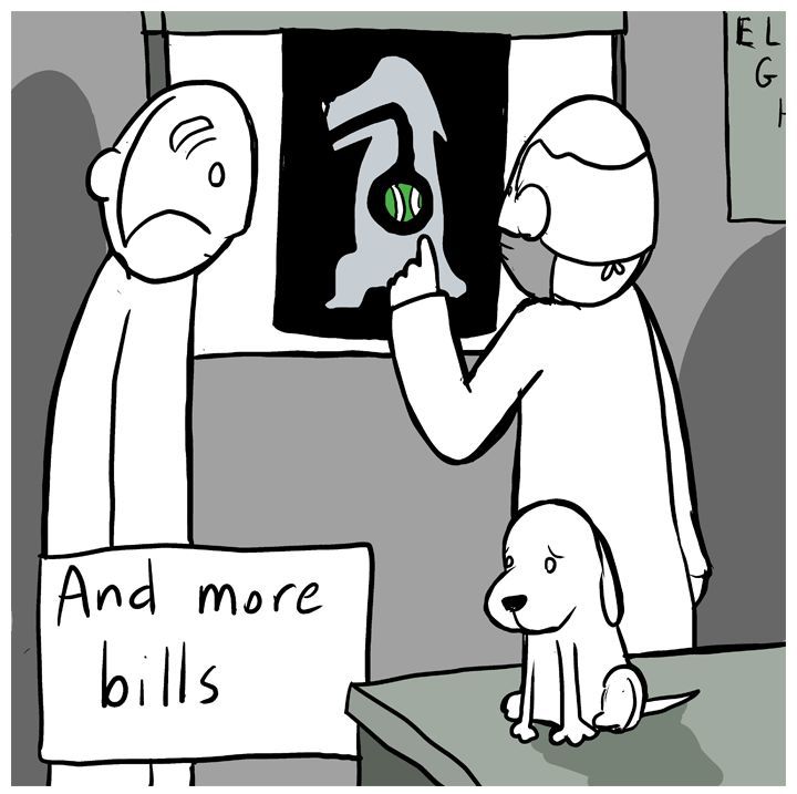 National Dog Day 2016 Chapter 30 page 5 - Chapter 30