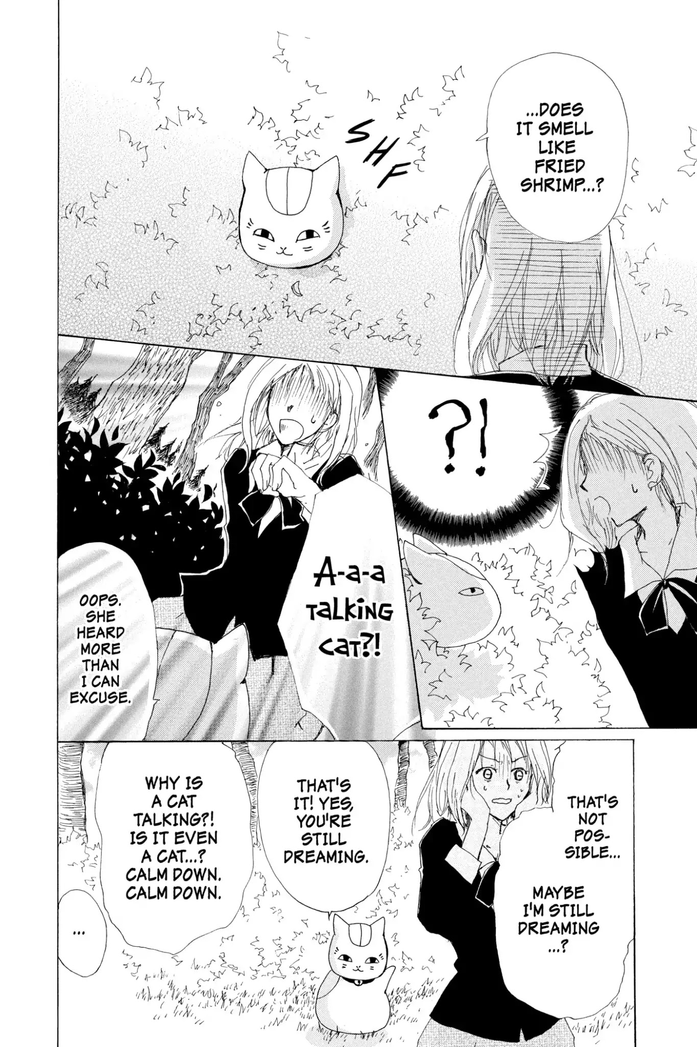 Natsume Yuujinchou Chapter 73.5 page 4 - Vol.18 Special Episode 16: A Fragment of A Dream