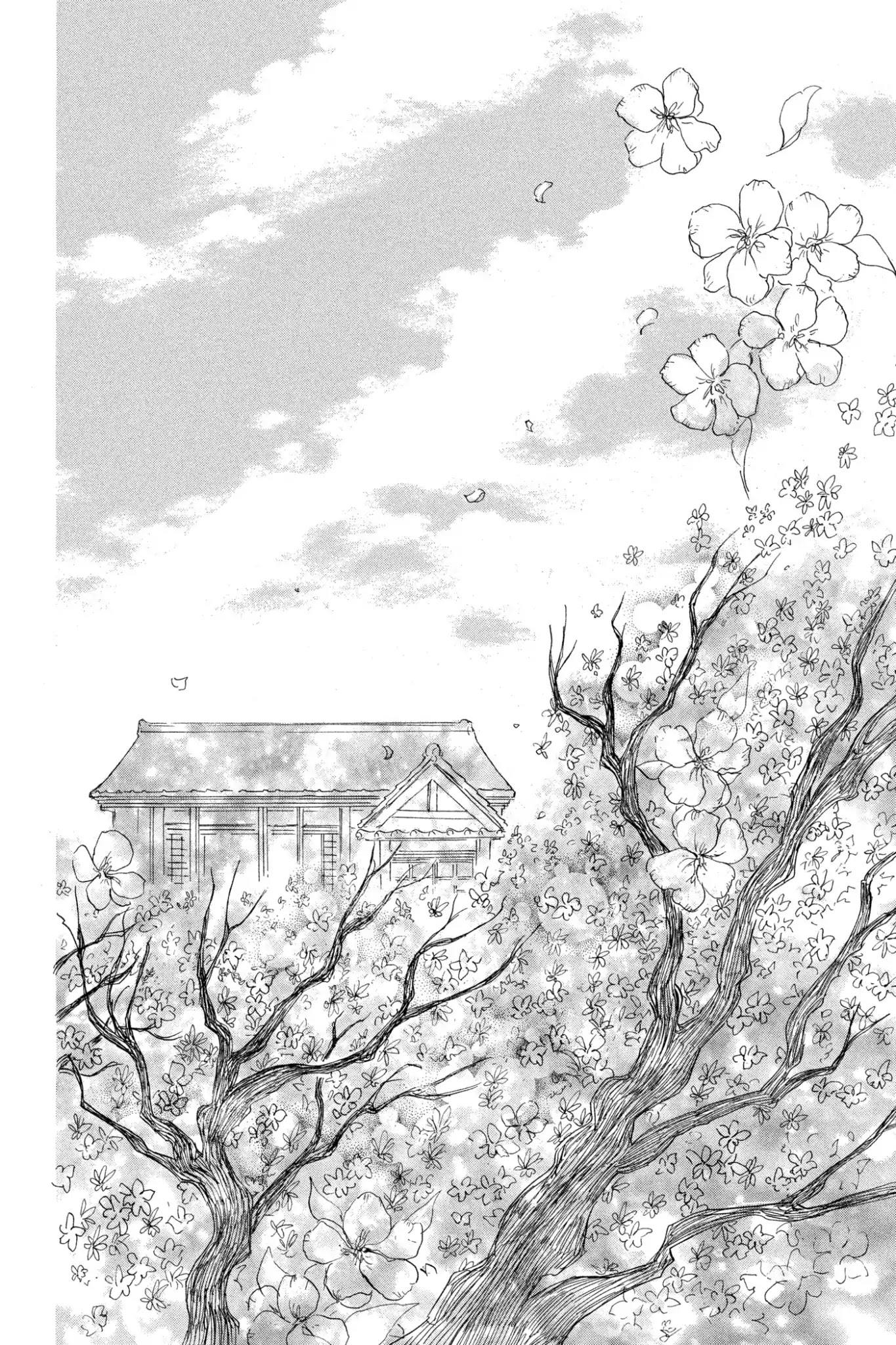 Natsume Yuujinchou Chapter 81 page 36 - Chapter 81