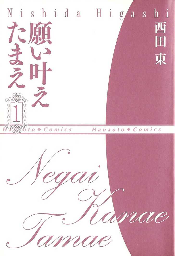 Negai Kanae Tamae Chapter 1.1 page 4 - Chapter 1.1: Prologue