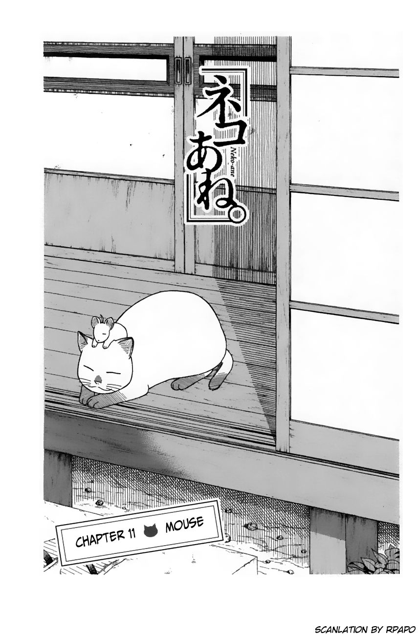 Neko Ane Chapter 11 page 3 - Chapter 11 : Mouse