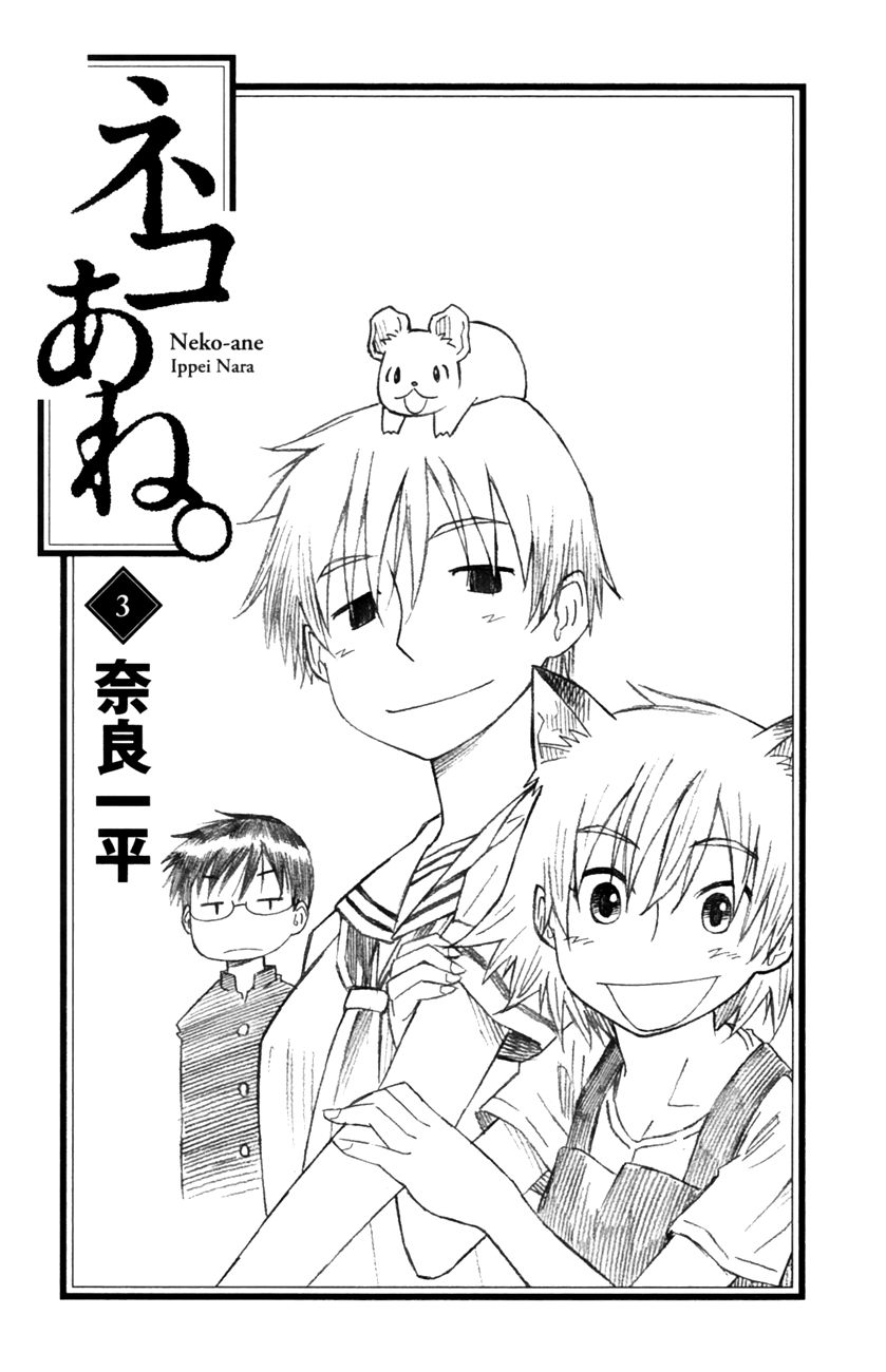 Neko Ane Chapter 12 page 3 - Chapter 12 : Setsubun