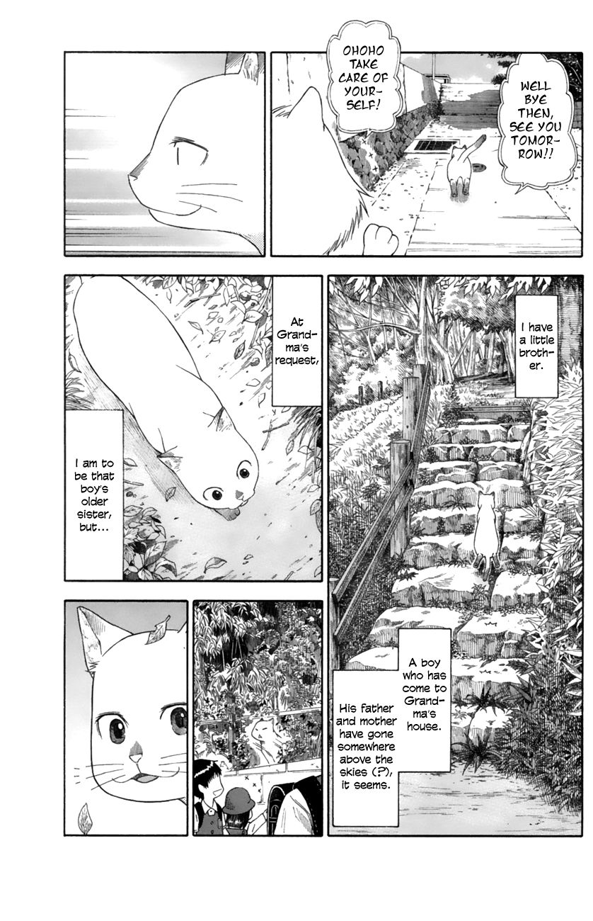 Neko Ane Chapter 13 page 7 - Chapter 13 : Angry Face