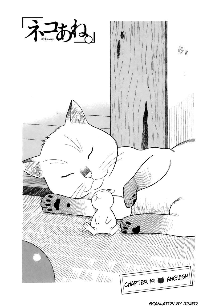 Neko Ane Chapter 19 page 1 - Chapter 19 : Anguish