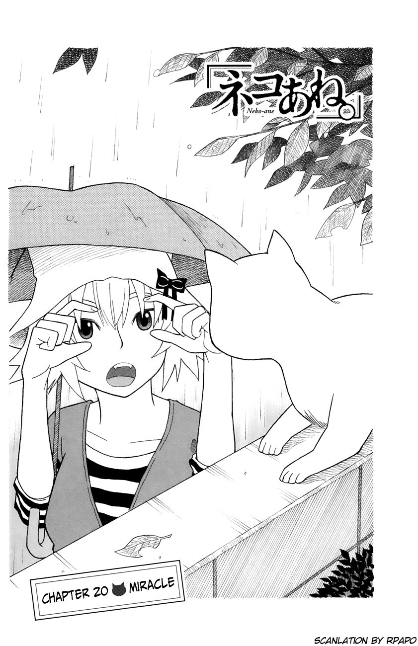 Neko Ane Chapter 20 page 2 - Chapter 20 : Miracle