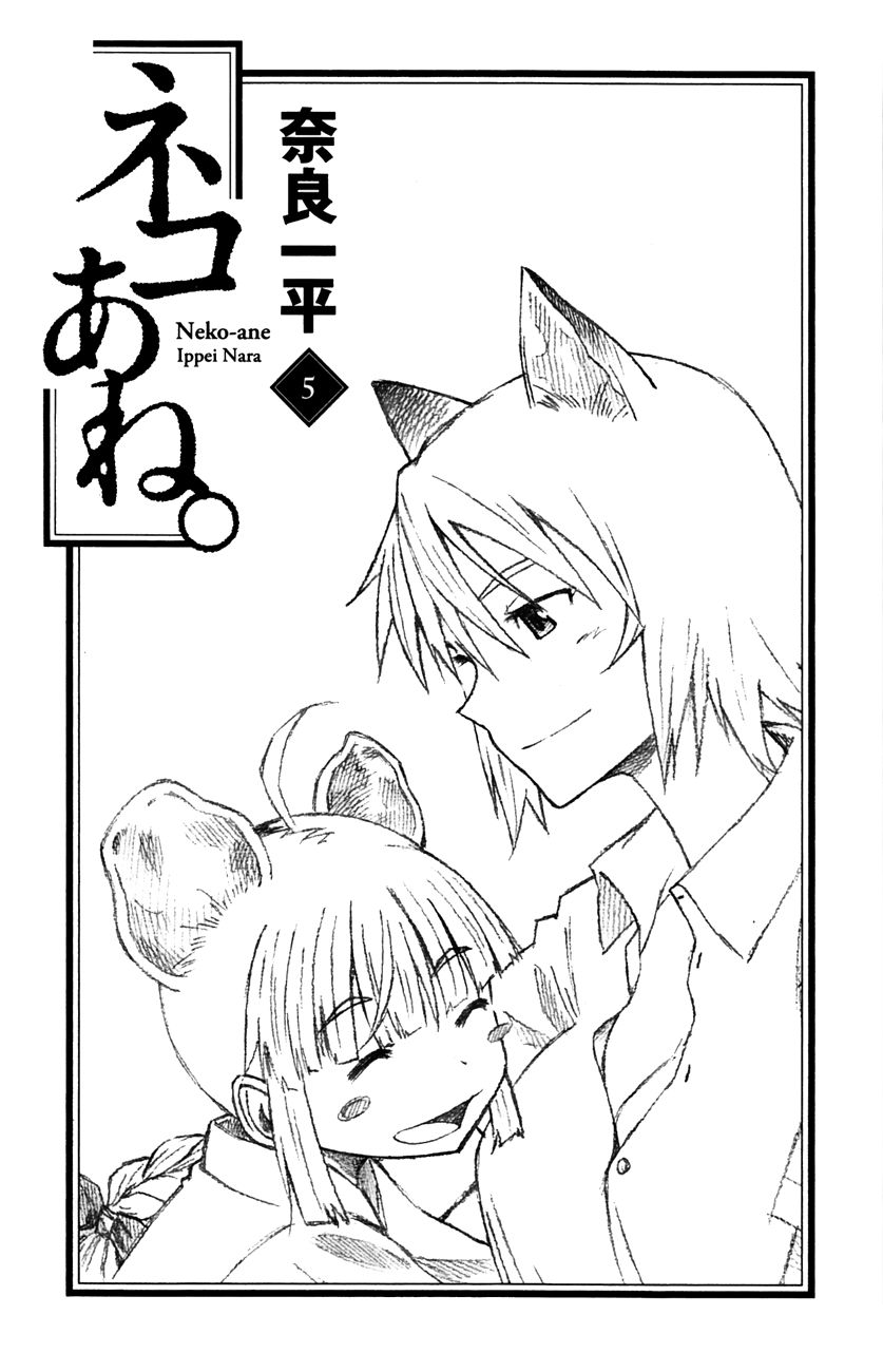 Neko Ane Chapter 24 page 2 - Chapter 24 : Fireworks.