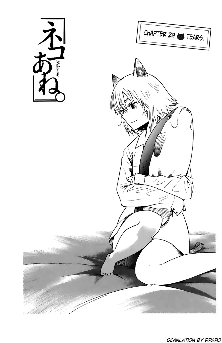 Neko Ane Chapter 29 page 1 - Chapter 29: Tears