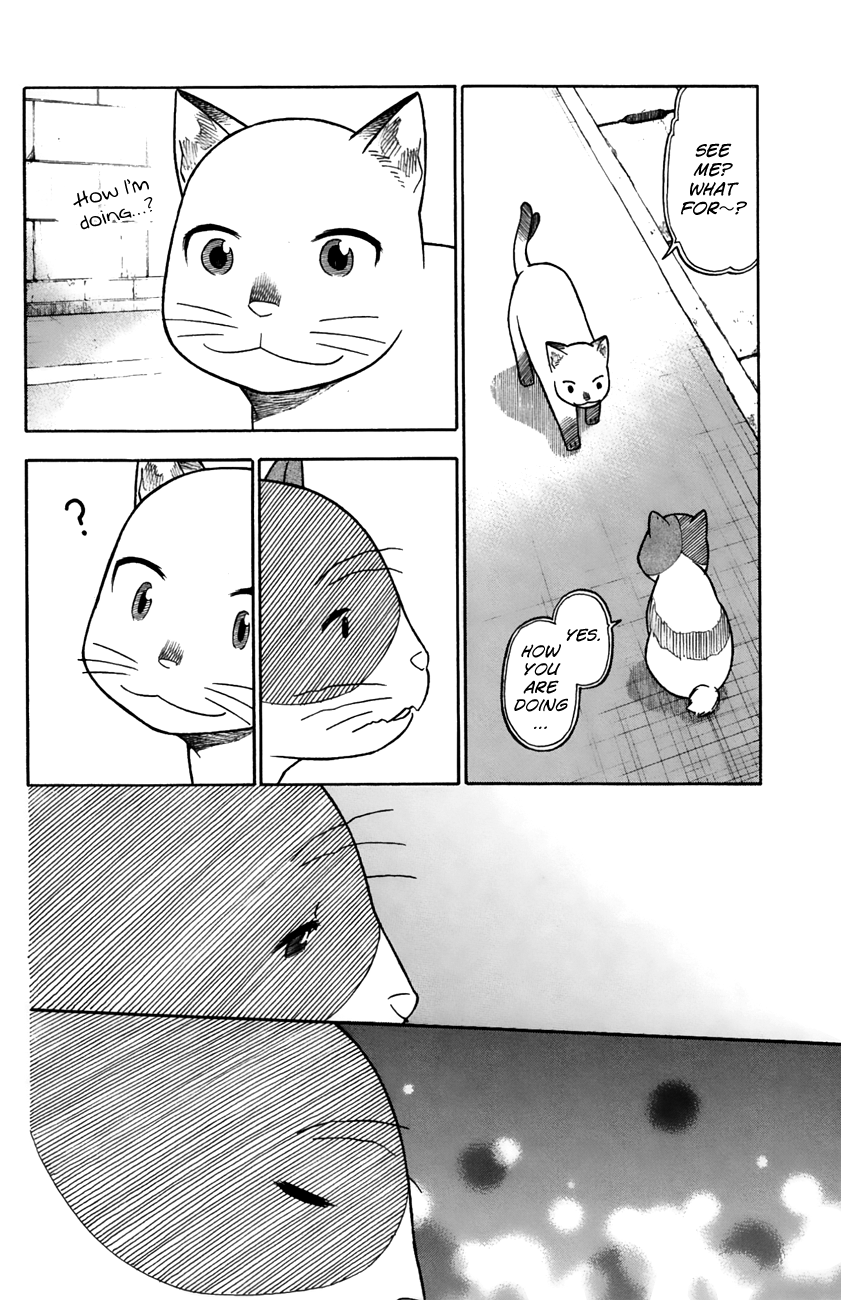 Neko Ane Chapter 32 page 20 - Chapter 32: Memories