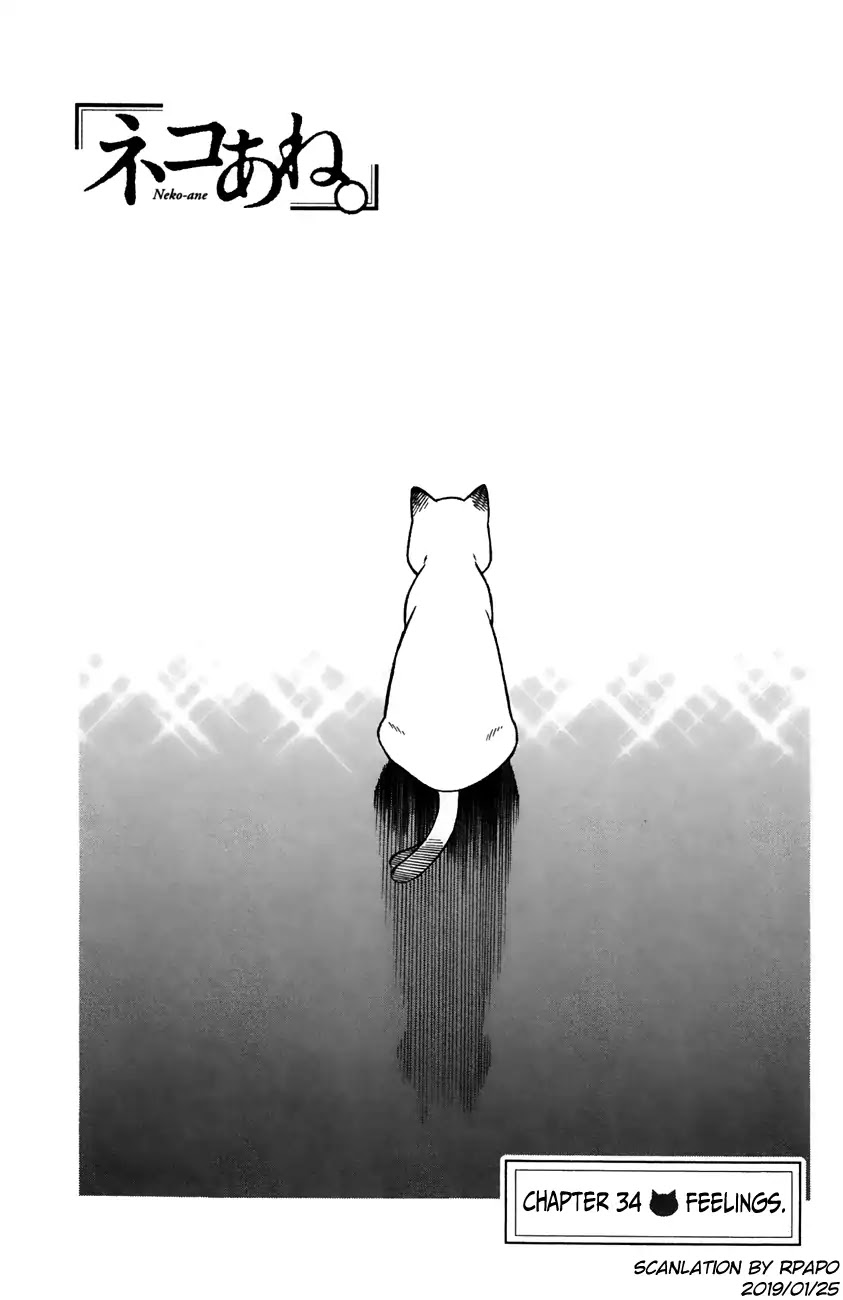 Neko Ane Chapter 34 page 1 - Chapter 34: Feelings.