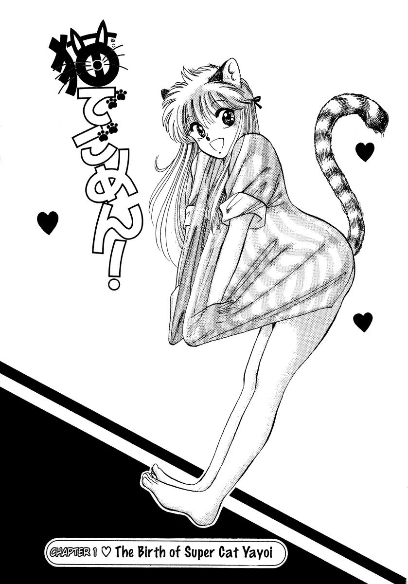 Neko de Gomen! Chapter 1 page 7 - Chapter 1: The Birth of Super Cat Yayoi