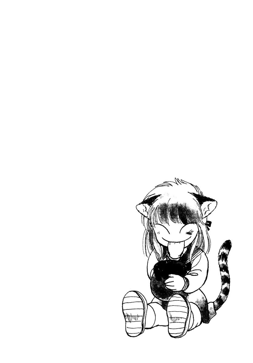 Neko de Gomen! Chapter 11 page 3 - Chapter 11: This Girl Is a Cat...!?