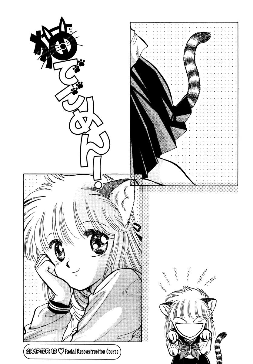 Neko de Gomen! Chapter 13 page 2 - Chapter 13: Facial Reconstruction Course