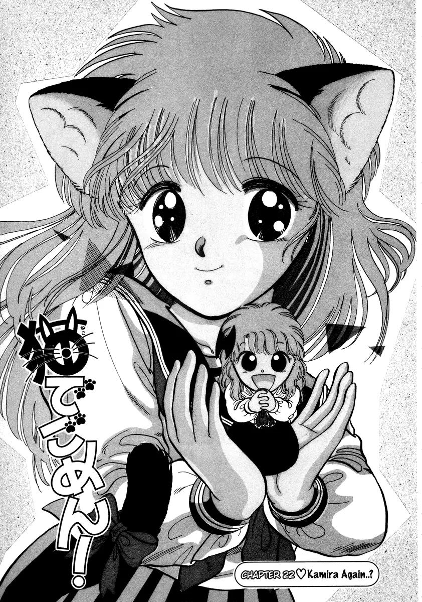 Neko de Gomen! Chapter 22 page 2 - Chapter 22: Kamira Again..?