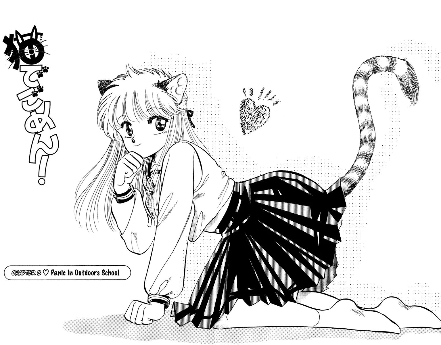 Neko de Gomen! Chapter 3 page 3 - Chapter 3: Panic in Outdoors School