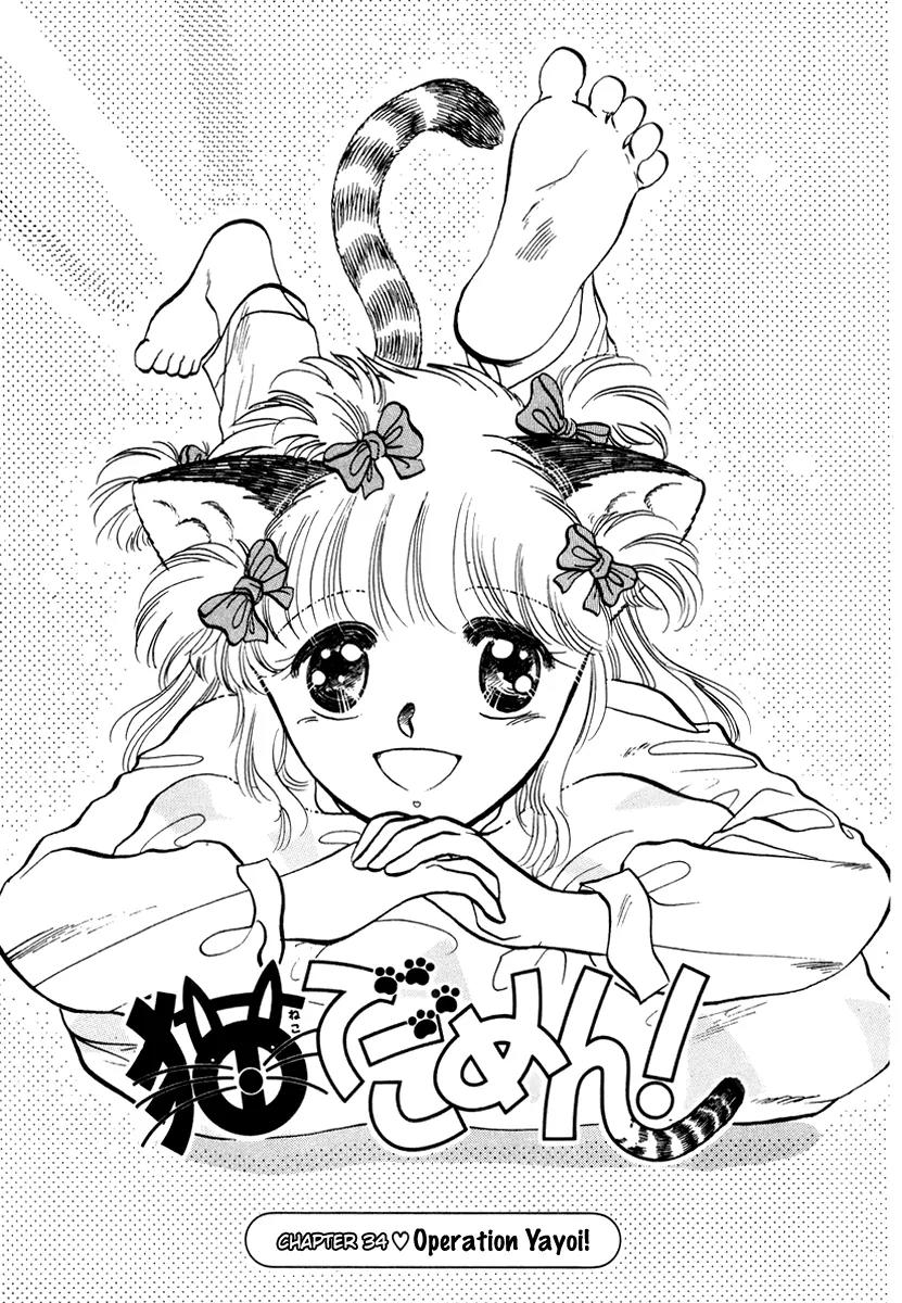 Neko de Gomen! Chapter 34 page 2 - Chapter 34: Operation Yayoi!