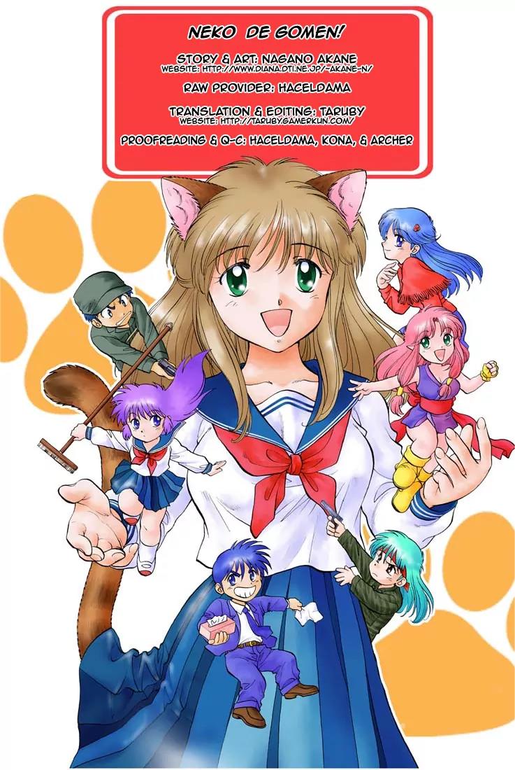 Neko de Gomen! Chapter 37 page 1 - Chapter 37: Treasure Hunter Yayoi!