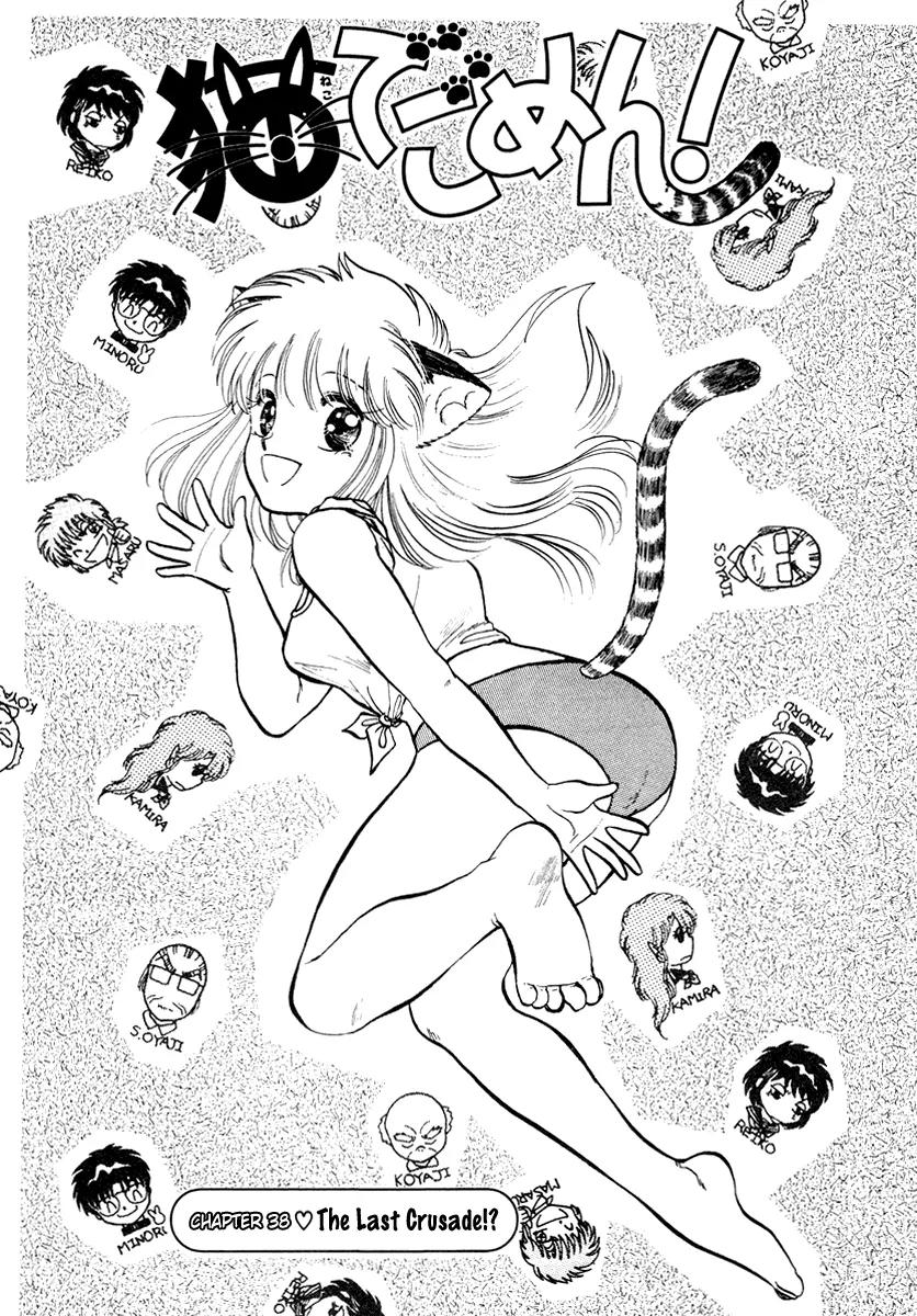 Neko de Gomen! Chapter 38 page 2 - Chapter 38: The Last Crusade!?