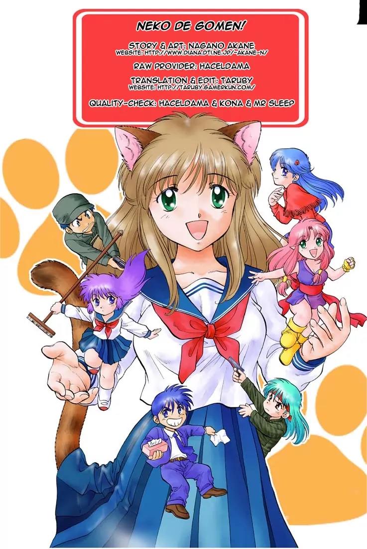 Neko de Gomen! Chapter 4 page 1 - Chapter 4: Back to the Catgirl