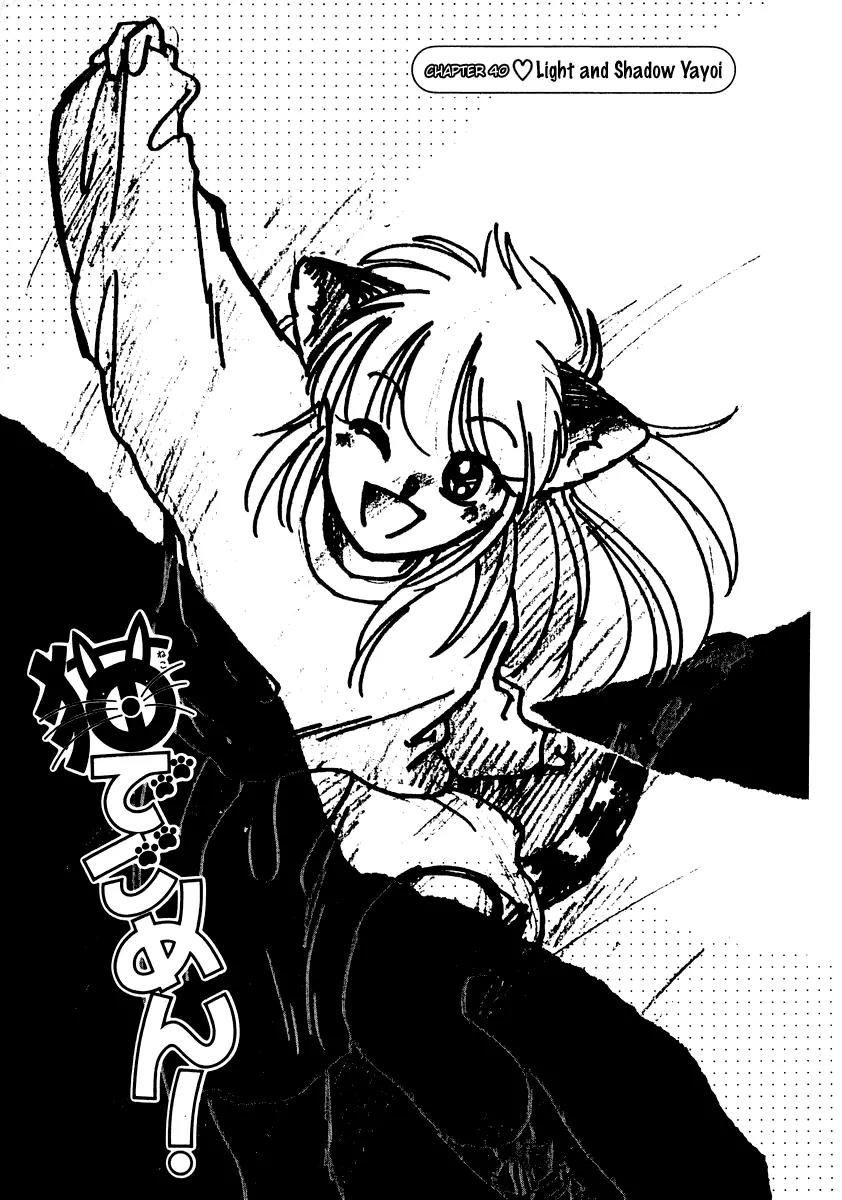 Neko de Gomen! Chapter 40 page 2 - Chapter 40: Light and Shadow Yayoi