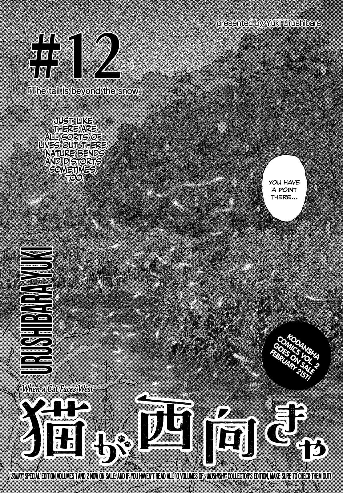 Neko ga Nishi Mukya Chapter 12 page 2 - Chapter 12: The tail is beyond the snow