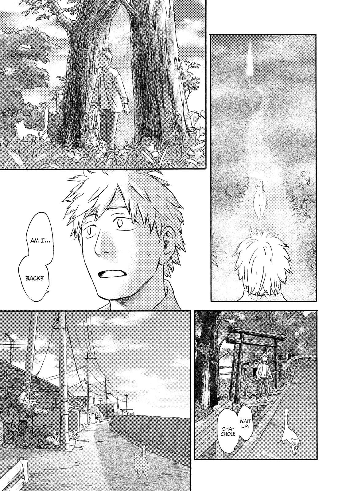 Neko ga Nishi Mukya Chapter 17 page 13 - Chapter 17: The tail is on the other side. (1)