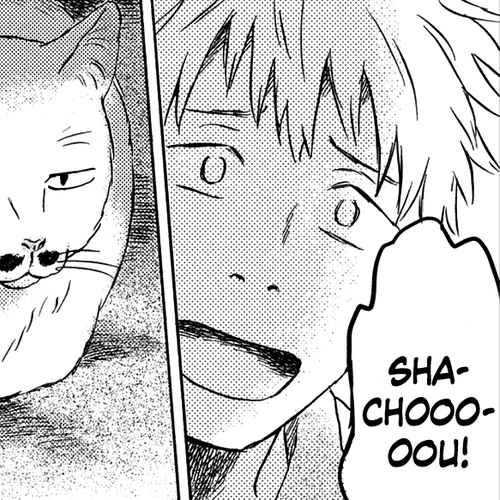 Neko ga Nishi Mukya Chapter 3: The tail is looking for something cover