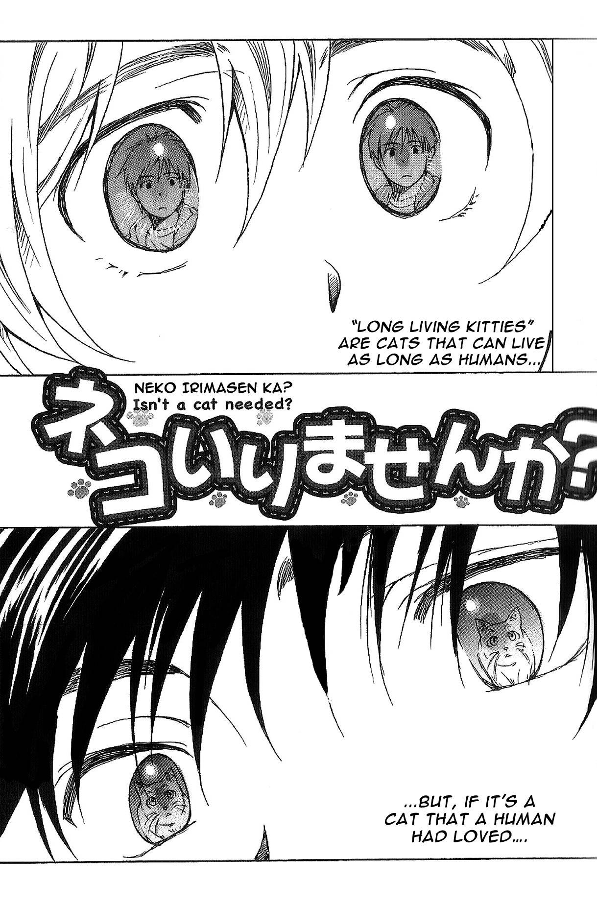 Neko Irimasen ka? Chapter 1 page 11 - Chapter 1