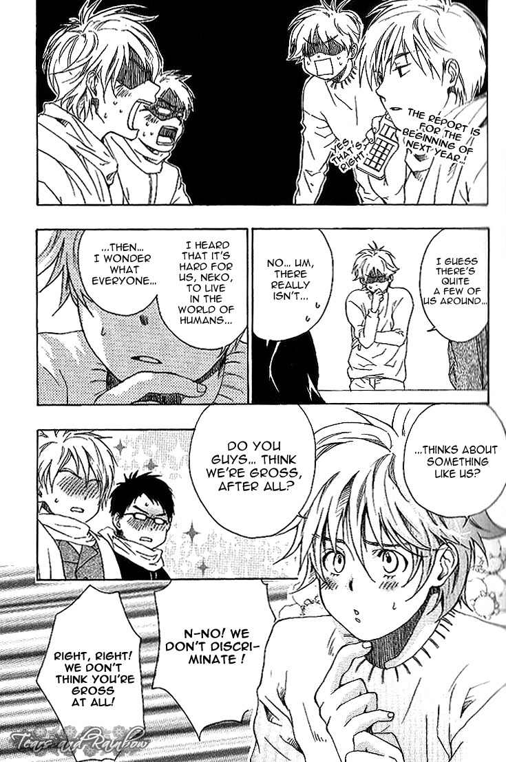 Neko Irimasen ka? Chapter 1 page 17 - Chapter 1