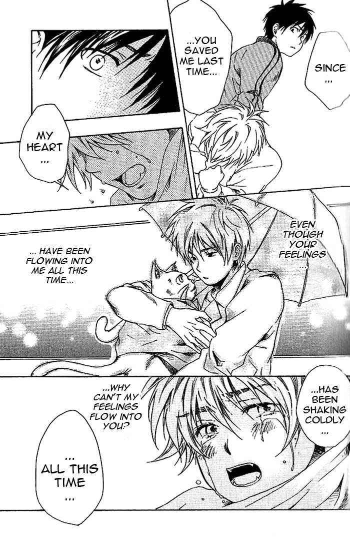 Neko Irimasen ka? Chapter 1 page 25 - Chapter 1