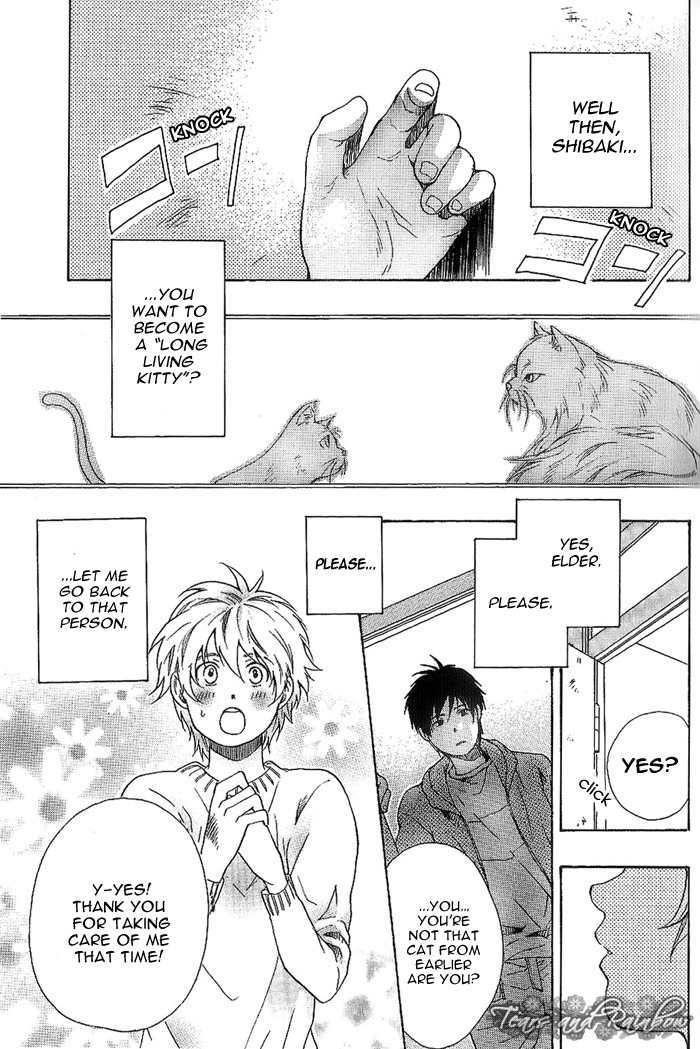 Neko Irimasen ka? Chapter 1 page 9 - Chapter 1