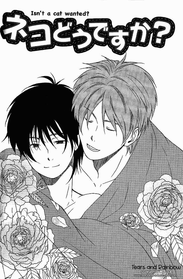Neko Irimasen ka? Chapter 2 page 4 - Chapter 2