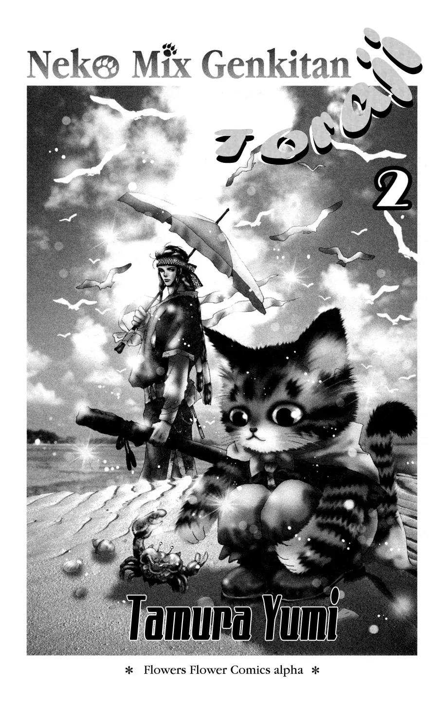 Neko Mix Genkitan Toraji Chapter 6 page 2 - Chapter 6: The Festival, the Mirror, and the Magic Mouse