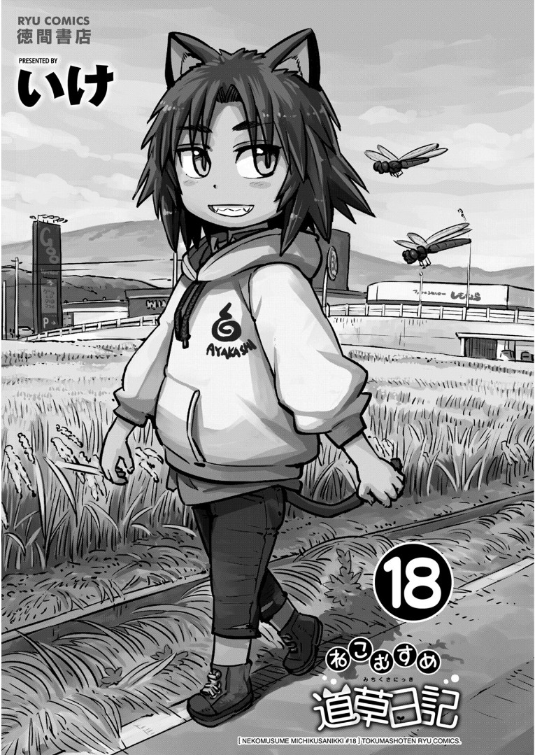 Neko Musume Michikusa Nikki Chapter 107 page 28 - Chapter 107: Passing the Time Playing Tag with a Bakeneko