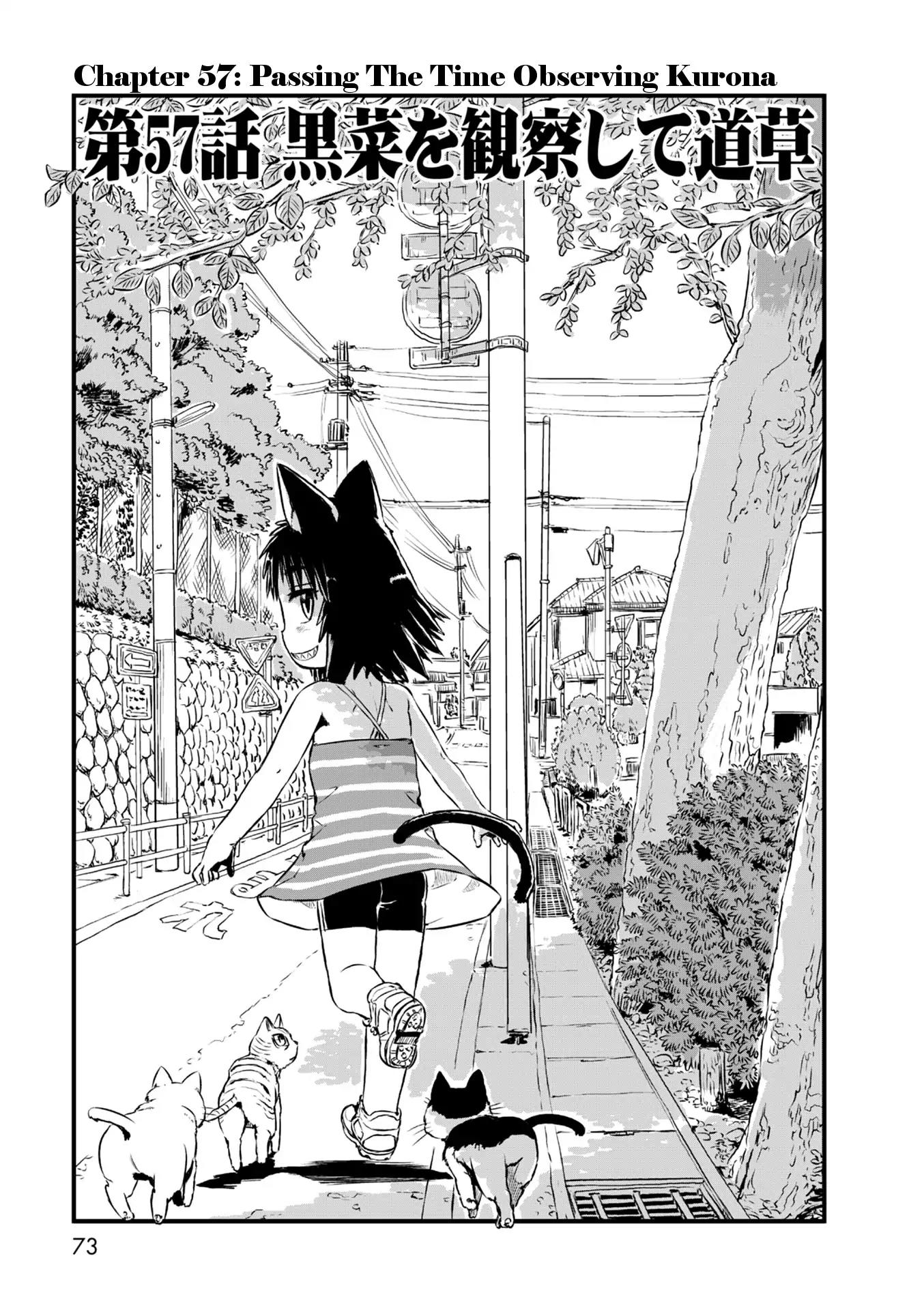 Neko Musume Michikusa Nikki Chapter 57 page 3 - Chapter 57: Passing the Time Observing Kurona