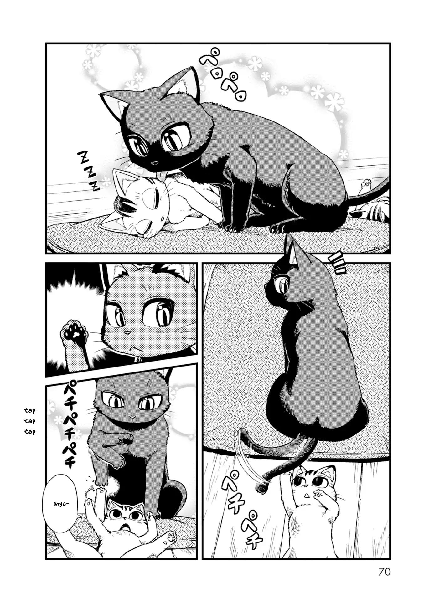 Neko Musume Michikusa Nikki Chapter 83 page 4 - Chapter 83