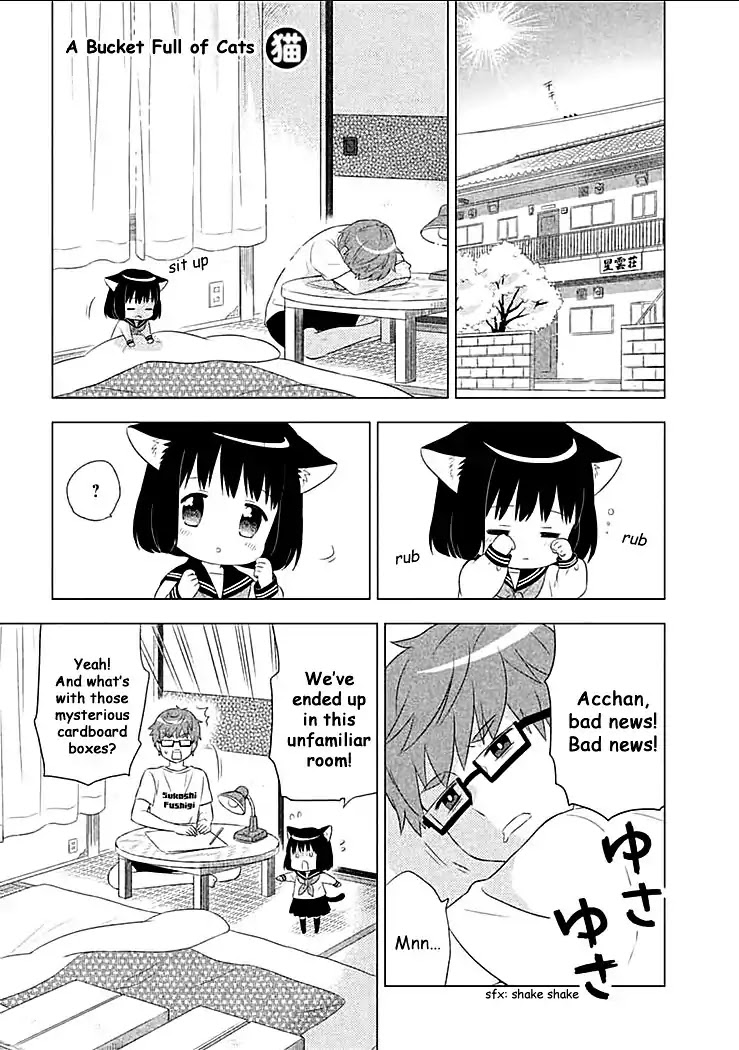 Neko no Kohana Chapter 2 page 1 - Chapter 2 : A Bucket Full of Cats