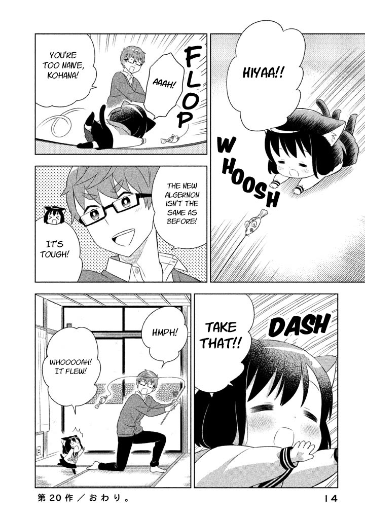 Neko no Kohana Chapter 20 page 15 - Chapter 20: Cat Psychedelic