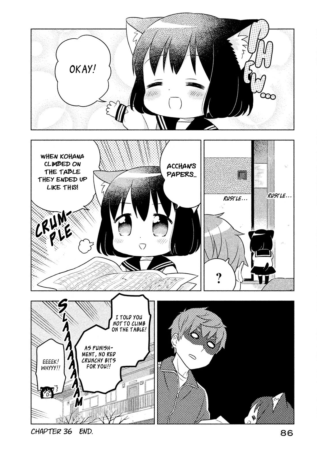 Neko no Kohana Chapter 36 page 12 - Chapter 36: Cat World