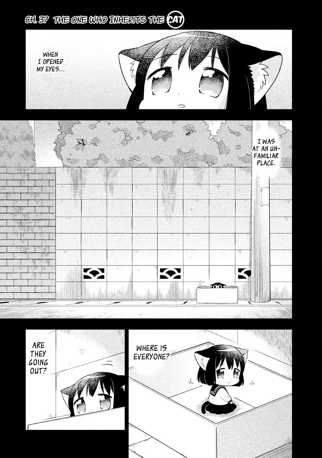 Neko no Kohana Chapter 37 page 1 - Chapter 37: The One Who Inherits the Cat