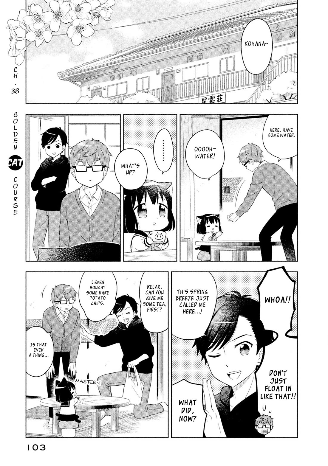 Neko no Kohana Chapter 38 page 1 - Chapter 38: Golden Cat Course