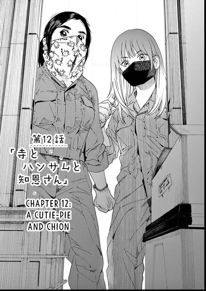 Neko no Otera no Chion-san Chapter 12 page 2 - Chapter 12: A Cutie-pie And Chion
