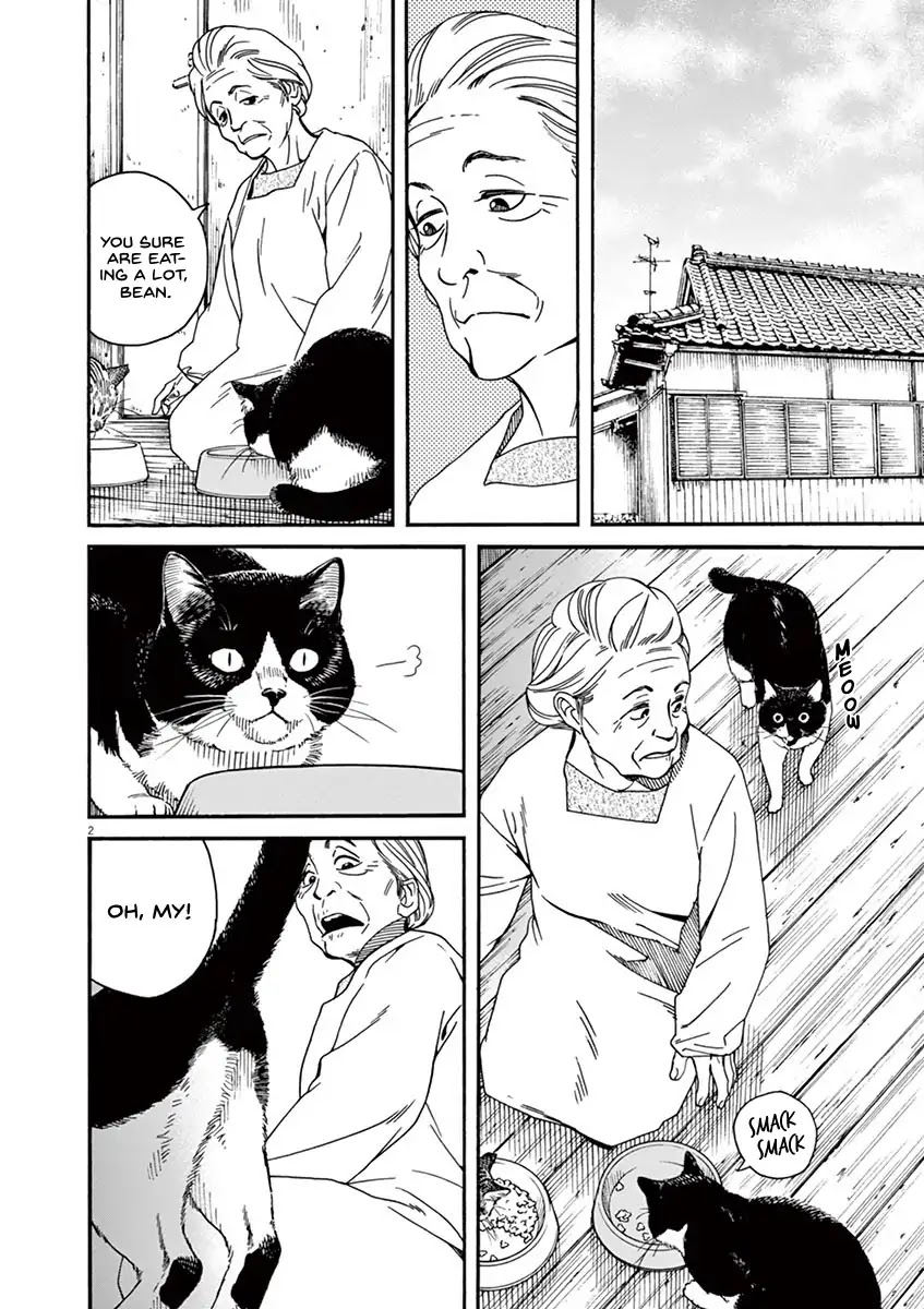 Neko no Otera no Chion-san Chapter 21 page 3 - Chapter 21: Miss Chion and hide-and-seek