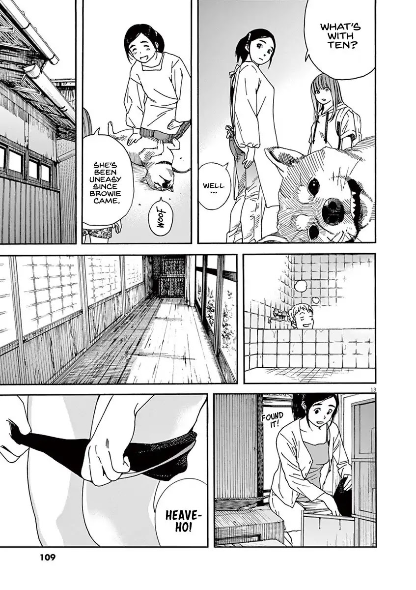Neko no Otera no Chion-san Chapter 23 page 14 - Chapter 23: An eye on Browie and Chion