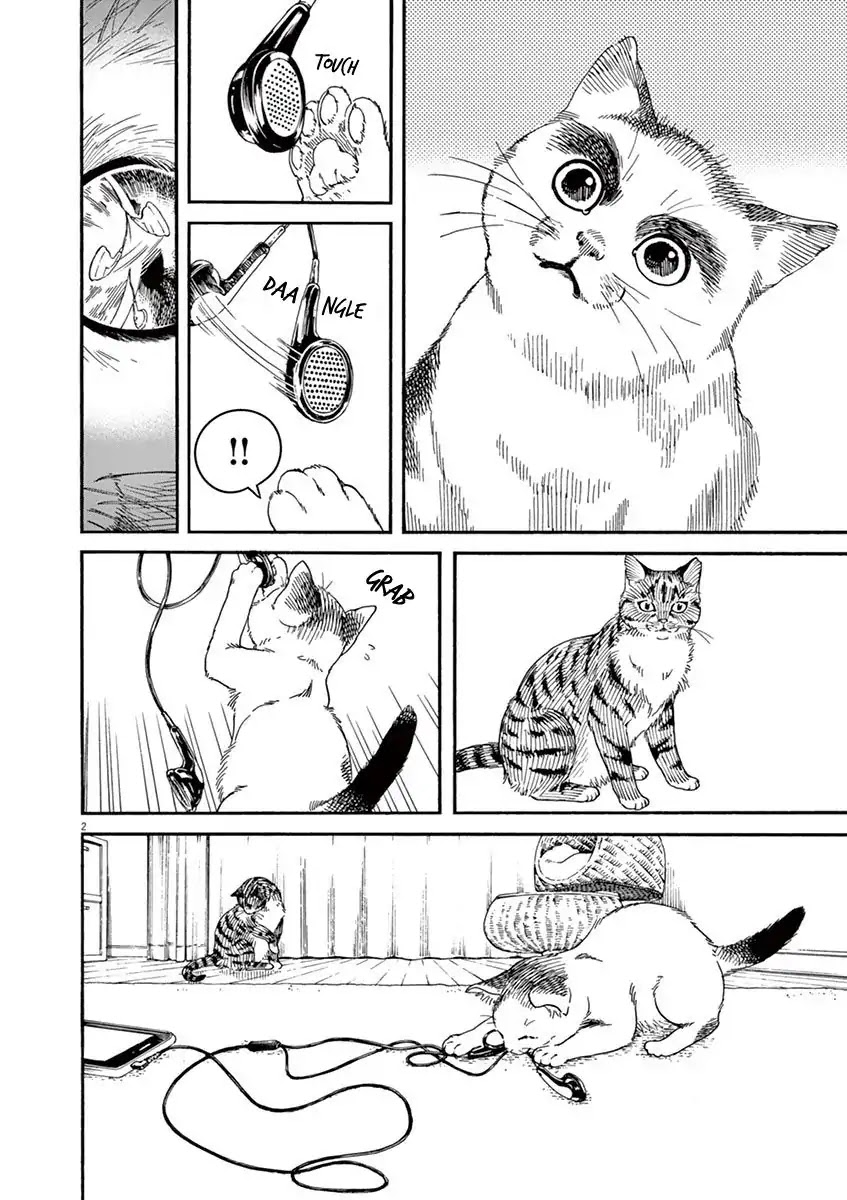 Neko no Otera no Chion-san Chapter 23 page 3 - Chapter 23: An eye on Browie and Chion