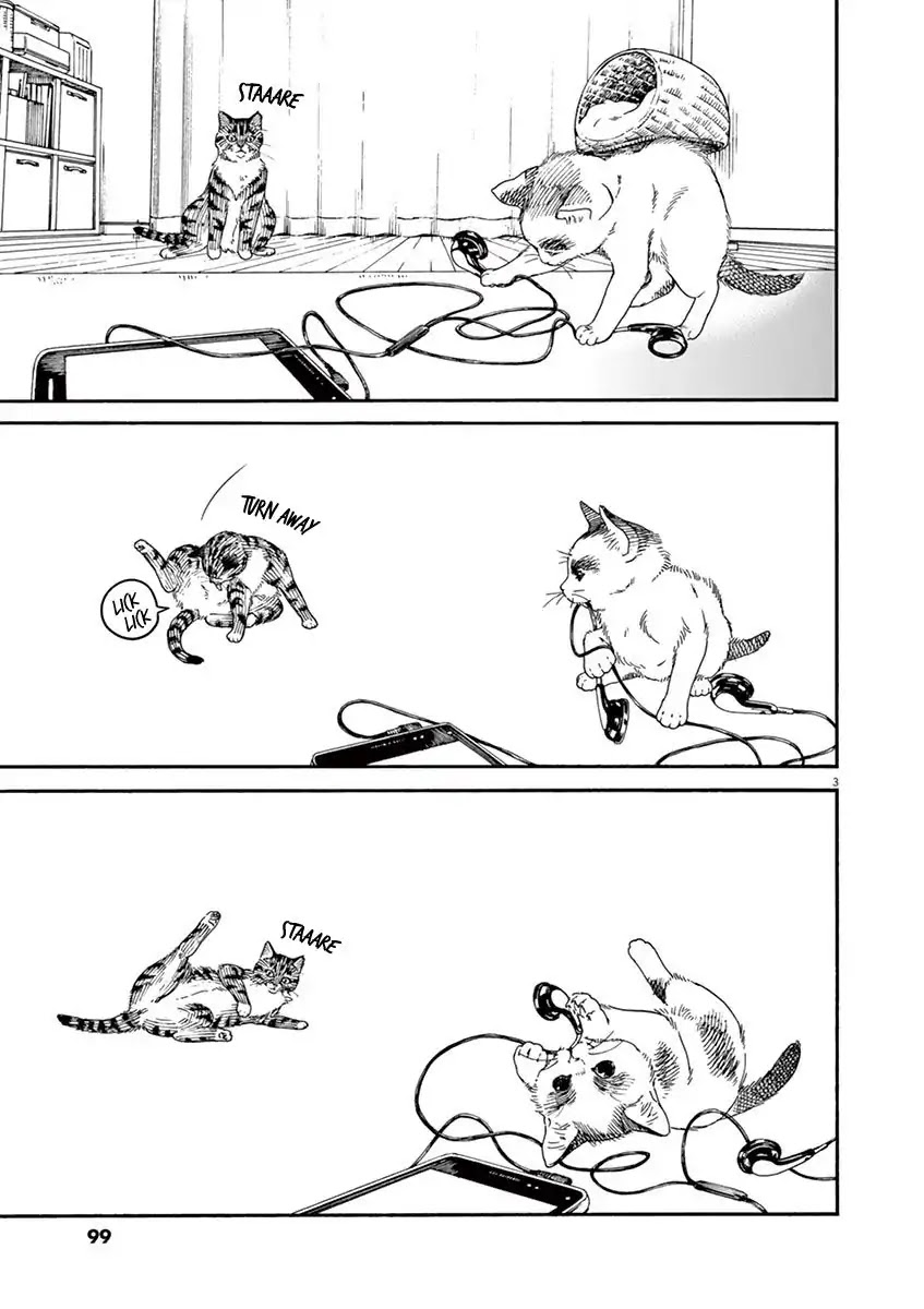 Neko no Otera no Chion-san Chapter 23 page 4 - Chapter 23: An eye on Browie and Chion