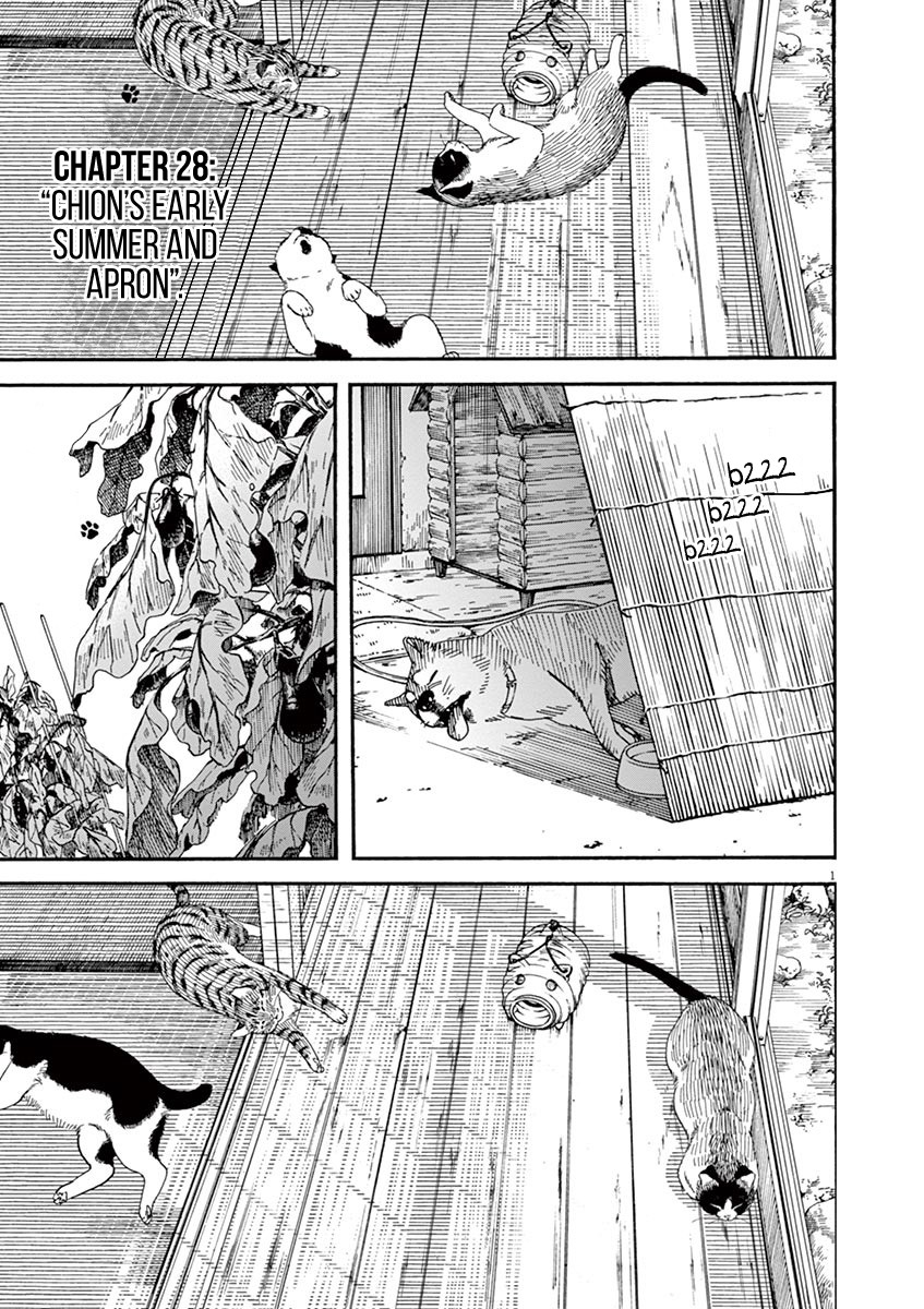 Neko no Otera no Chion-san Chapter 28 page 1 - Chapter 28: Chion's Early Summer and Apron.