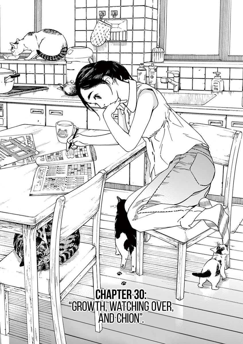 Neko no Otera no Chion-san Chapter 30 page 1 - Chapter 30: Growth, Watching Over, and Chion.