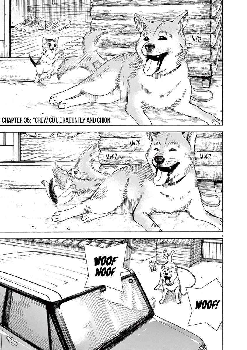 Neko no Otera no Chion-san Chapter 35 page 1 - Chapter 35: Crew Cut, Dragonfly and Chion.